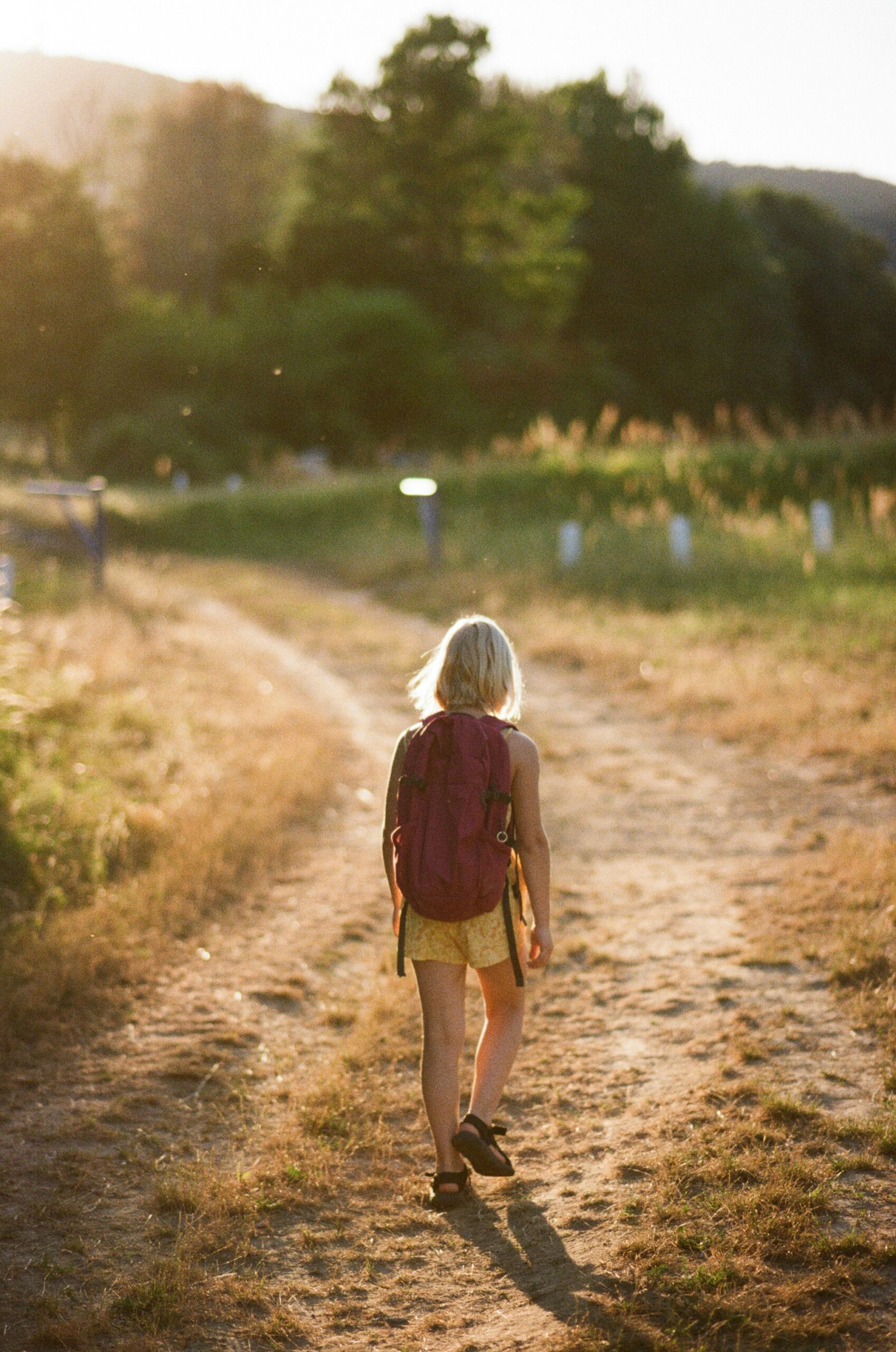 richard stachmann 77yzxa2exve unsplash